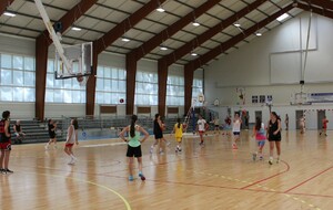 686d7b5384376_CAMPdTBasket050720251.JPG