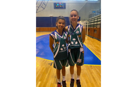 SELECTION 2010 du CD01