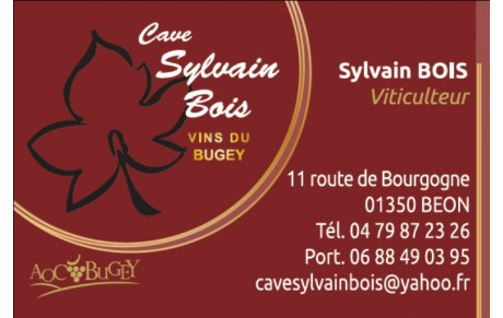 CAVE SYLVAIN BOIS